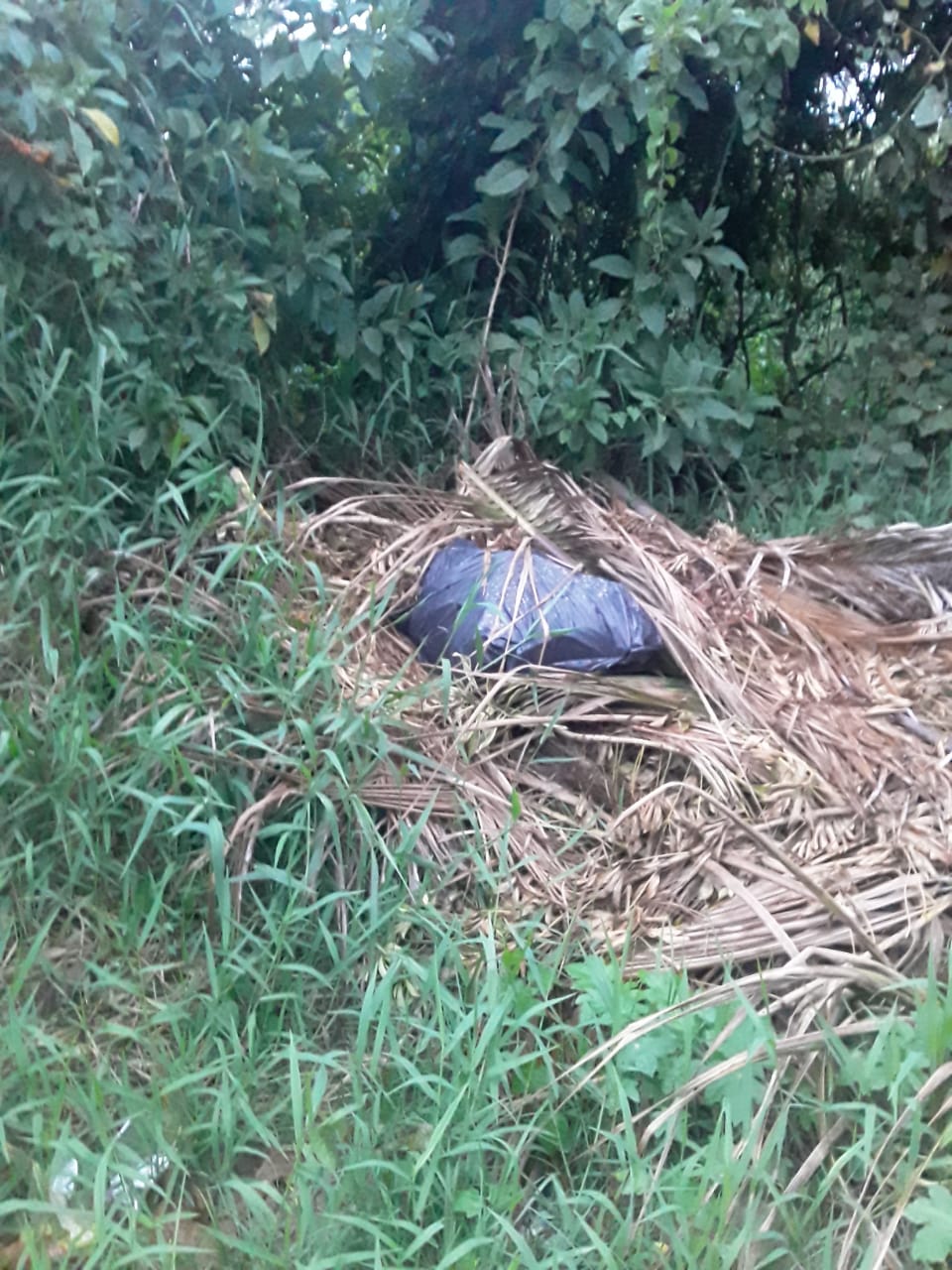 Morador pede socorro à prefeitura de Penha para que haja punição às