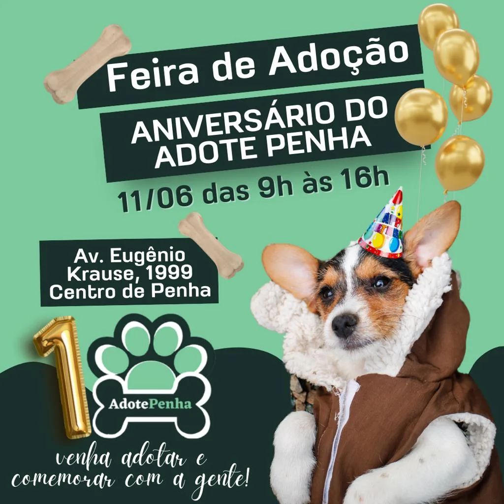 Neste sábado tem feira de adoção de animais no aniversário do Adote