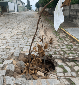 Moradores da Rua Liberdade prometem bolo de aniversário para buraco na