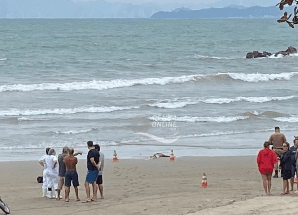 VÍdeo Corpo é Encontrado Na Praia De São Miguel Em Penha Penha Online Notícias De Penha 7909