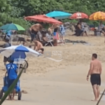 [VÍDEO] Pit bulls soltos em praia de Penha levaram pânico a usuários do espaço público na manhã deste domingo (02)