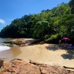 Praia do Bananal: Prefeitura de Penha e associações locais promovem mutirão de limpeza nesta segunda-feira (03)