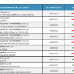 Instituto do Meio Ambiente de Santa Catarina divulga relatório de balneabilidade n° 25 da temporada 2024-2025