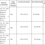 Instituto do Meio Ambiente de Penha abre concurso para variadas vagas de engenheiros e auxiliar; remuneração total pode ultrapassar R$ 10 mil