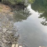 Balneário Piçarras: Instituto do Meio Ambiente recebe denúncias e fiscaliza o descarte irregular de pescados no Rio Piçarras