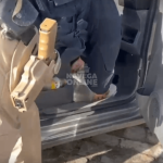 [VÍDEO] Maconha, skunk, anabolizantes e resistência à prisão: Polícia Rodoviária Federal prende motorista na BR-101