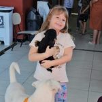 Mutirão de Castração realizado pelo DABA atende cerca de 160 animais em Navegantes
