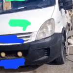 Penha: vizinhança reclama de tutor que deixa cachorro na rua; animal mordeu uma criança