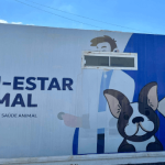 Pet Container: Penha disponibiliza atendimentos veterinários gratuitos para cães e gatos