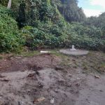 [VÍDEO] Retirada de banheiros de praia de Penha deixa banhistas e guarda-vidas sem local para fazer necessidades