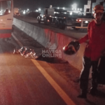 [VÍDEO] Acidente fatal: ciclista de 39 anos morre atropelado por automóvel