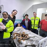 Bebê nasceu em ambulância dos bombeiros durante a madrugada deste domingo (8)