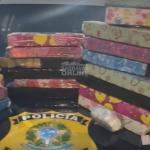 [VÍDEO] Homem é preso com quase 30 quilos de maconha na BR-101 em Barra Velha