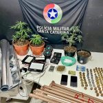 Homem é preso em flagrante com quatro pés de maconha