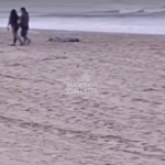 [VÍDEO] Homem morre afogado na Praia Central de Navegantes