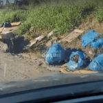 [VÍDEO] Lixo, entulhos e buracos: moradores de Balneário Piçarras pedem solução para rua do bairro Itacolomi