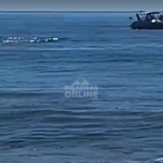 [VÍDEO] Embarcação se aproxima demais de baleias em praia e testemunhas acionam a polícia