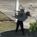 [VÍDEO] “Loira dos cachorros” é novamente denunciada por maus-tratos a cão em Penha