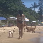 [VÍDEO] Apesar de ser proibido por Lei, cachorrada marca presença em praia de Penha