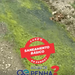 [VÍDEO] Cadê o saneamento básico de Penha? Esgoto a céu aberto corre por rua da Santa Lídia