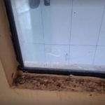 [VÍDEO] Inquilino deixa casa em situação lastimável e proprietária revela motivo de aluguéis caros em Penha