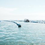 Maricultores de Penha devem enviar Relatório Anual de Produção ao Ministério da Pesca até 31 de março