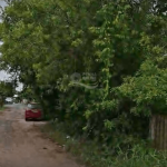 [VÍDEO] Mato sai de terreno particular, invade rua e até poste em Penha; vizinhos pedem fiscalização da Prefeitura