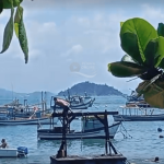 [VÍDEO] Nem Lei impede banhistas de invadir embarcações em Penha; flagra foi registrado em Armação do Itapocoroy