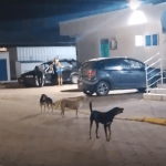 [VÍDEO] Paciente do Pronto Atendimento de Penha chama a atenção sobre a “gangue dos caramelos”