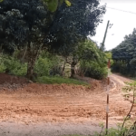 [VÍDEO] Penha: moradores cobram solução urgente para morro intransitável