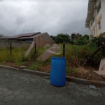 Penha: terreno com mato alto na Praia da Armação é denunciado por vizinhos