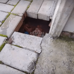 [VÍDEO] Atenção: buraco em calçada leva risco a pedestres em Balneário Piçarras
