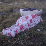 [VÍDEO] Pessoa em situação e rua é encontrada “congelando” enquanto dormia no chão