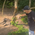 [VÍDEO] Visitante da encosta de Penha chama a atenção para descarte de entulho e fogueiras junto da vegetação