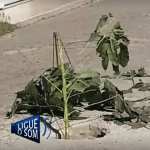 [VÍDEO] Alerta de trânsito: buraco no meio da rua em Penha leva perigo a motoristas em geral