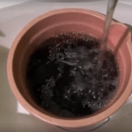 [VÍDEO] Caos absoluto: Águas de Penha segue fornecendo água suja para moradores de Penha
