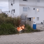 [VÍDEO] Falta de respeito: moradores de loteamento em Penha descartam entulho e ateiam fogo em terreno baldio