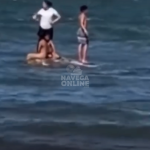 [VÍDEO] Heroína: mulher socorre crianças vítimas de arrasto no mar