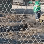 [VÍDEO] M***** pra tudo que é lado: Estação de Tratamento de Esgoto “explode” e espalha dejetos pelo Gravatá de Penha