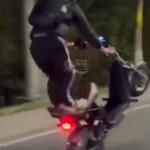 [VÍDEO] Piloto de scooter barbariza no trânsito em via pública em Penha