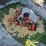 Cabrito sem cabeça é encontrado em cemitério de Penha e choca visitante