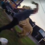 [VÍDEO] Mulher é flagrada dando chinelada na bunda de estátua entre Penha e Balneário Piçarras