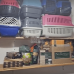 [VÍDEO] Operação “Gaiola de Ouro” cumpre mandados em investigação sobre comércio ilegal de fauna silvestre e exótica