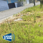 [VÍDEO] Mais um terreno baldio em Penha causa problemas aos vizinhos