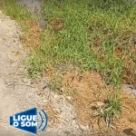 [VÍDEO] Mato, esgoto, poeira e lama: moradores do Gravatá de Penha denunciam situação crítica