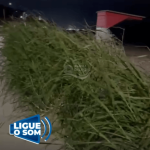 [VÍDEO] Penha estreia nova ferramenta turística: floresta amazônica na orla