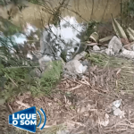 [VÍDEO] Penha: morador mostra buracos e falta de limpeza em rua às margens do rio Gravatá