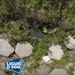 [VÍDEO] Penha: moradores pedem que Prefeitura retorne e feche buraco aberto há mais de um ano