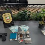 Polícia Civil cumpre mandado em Navegantes e deflagra operação contra o tráfico de drogas na região de Brusque