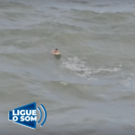 [VÍDEO] Surfista fica à deriva e escapa por pouco após ser tragado pelo mar bravo em Penha